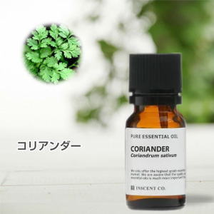 コリアンダー