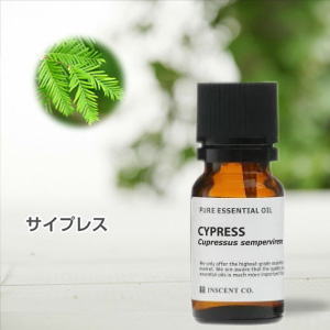 サイプレス