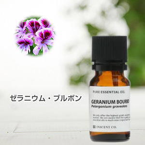 ゼラニウム（ブルボン/レユニオン産）