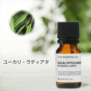 ユーカリ・ラディアタ