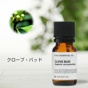 クローブ・バッド