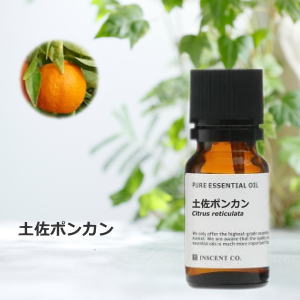 土佐ポンカン
