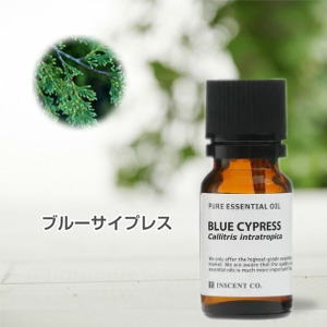 ブルーサイプレス