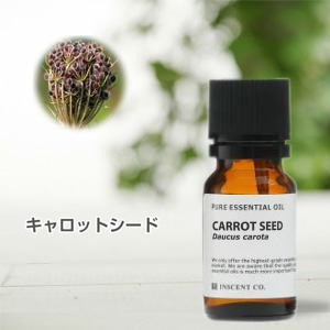 キャロットシード