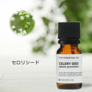 セロリシード