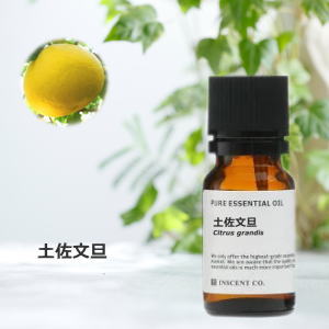 土佐文旦