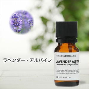 ラベンダー・アルパイン[真正]