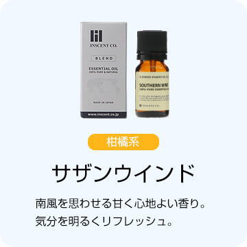 サザンウインド