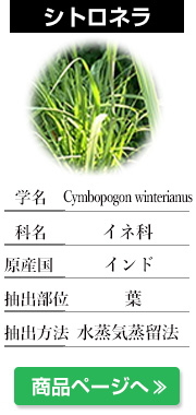 シトロネラ