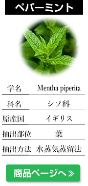 ペパーミント