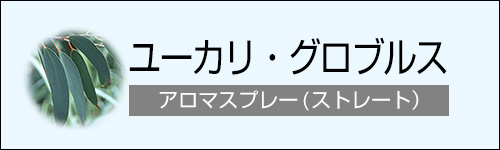 ユーカリ・グロブルス