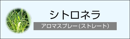 シトロネラ
