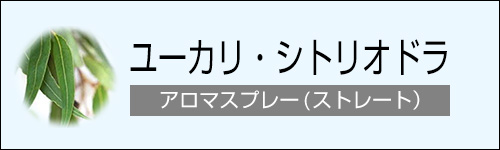 ユーカリ・シトリオドラ