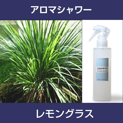 ［アロマシャワー］レモングラス