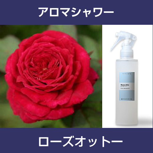 ［アロマシャワー］ローズオットー