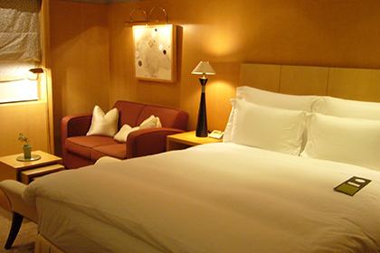 �����̿�