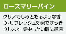 ローズマリーパイン