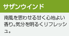 サザンウインド