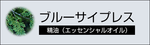 ブルーサイプレス