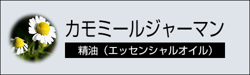 カモミールジャーマン