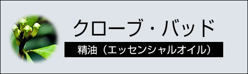 クローブ・バッド