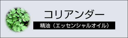 コリアンダー