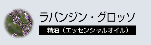 ラバンジン・グロッソ