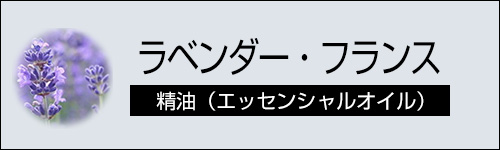 ラベンダー・フランス