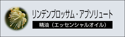 リンデンブロッサム・アブソリュート