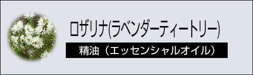 ロザリナ (ラベンダーティートリー) 