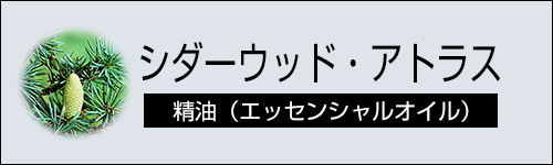 シダーウッド・アトラス