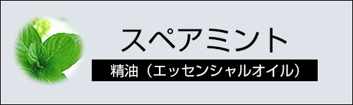 スペアミント