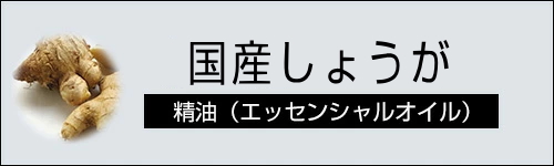 国産しょうが