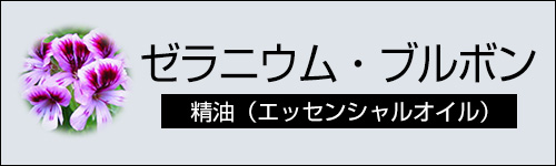 ゼラニウム・ブルボン
