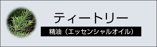 ティートリー