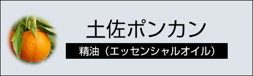 土佐ポンカン