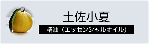 土佐小夏