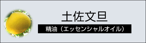 土佐文旦