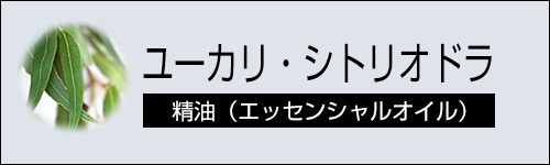 ユーカリ・シトリオドラ