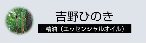吉野ひのき