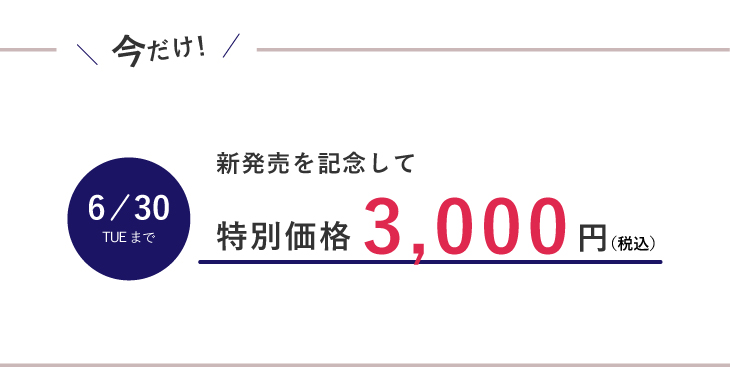 特別価格期間
