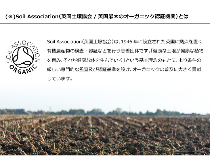 インセントオーガニック精油について