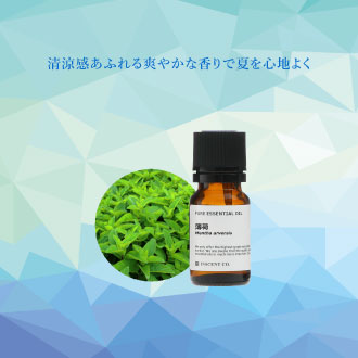 薄荷ン