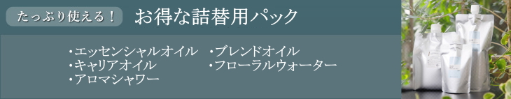 お得な詰替え用パック